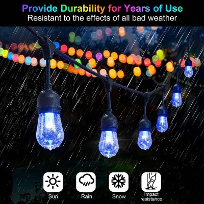 Leadleds Vintage Seasons LED Warm White RGBW Color Changing Outdoor String Lights, 48ft