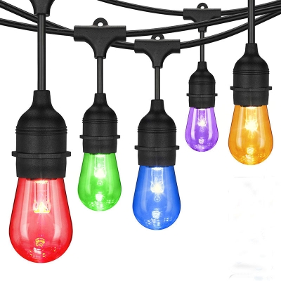 Leadleds Vintage Seasons LED Warm White RGBW Color Changing Outdoor String Lights, 48ft